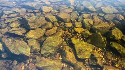 Clean river water. Stones Stock Footage 64317822