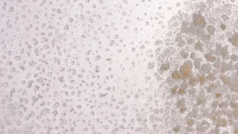 Clean Saline pattern texture. Large salt lake. Big Saline. Aerial drone top down Stock Footage 128677298