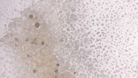 Clean Saline pattern texture. Large salt lake. Big Saline. Aerial drone top down Stock Footage 128677697