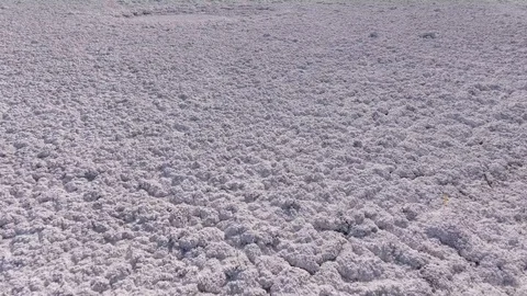 Clean Saline pattern texture. Large salt lake. Big Saline. Aerial drone top down Stock Footage 128680038