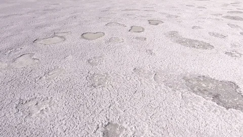 Clean Saline pattern texture. Large salt lake. Big Saline. Aerial drone top down Stock Footage 128680222