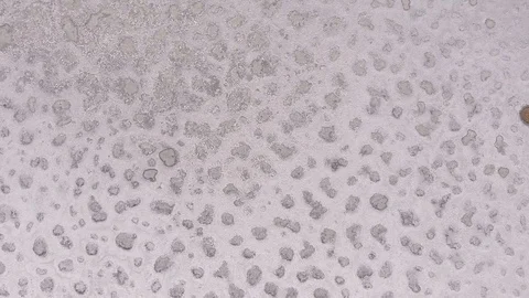 Clean Saline pattern texture. Large salt lake. Big Saline. Aerial drone top down Stock Footage 128680482