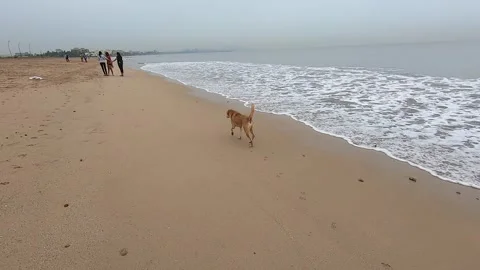 A clean sandy beach with almost no crowd. Stock Footage 138376150