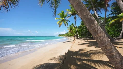 Clean sandy beach of Thailand coast on a sunny summer day. Video stock 234902811