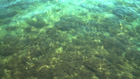 Clean Sea bottom 動画素材 104122790