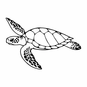 Clean Sea Turtle Flat Vector Design Stock Illustration