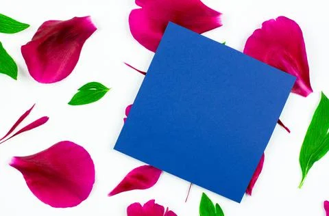 A clean sheet of blue colored paper mock up a greeting card Stock Photos