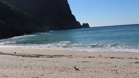 Clean shore with small waves Stock Footage 82623893