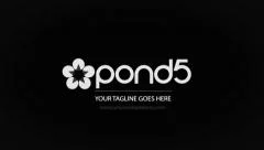 Clean Simple Black and White Logo Reveal Stock After Effects