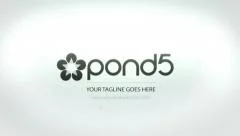 Clean Simple White and Black Logo Reveal Stock After Effects