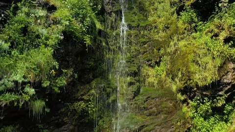 Clean small waterfall in the forest. Beautiful Nature Norway natural landscap Stock Footage 124783866