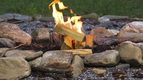 Clean split wood logs burning on a campfire, during early evening in the summer. Video stock 342092014