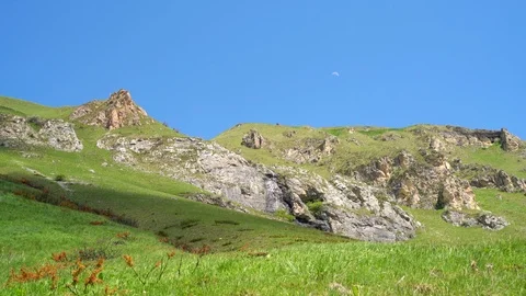 Clean spring water flowing in Brod National Park of Kosovo Stock Footage 119885185