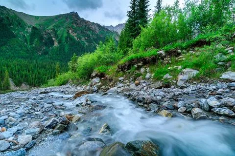 Clean spring water flowing down from the mountain. Stock Photos