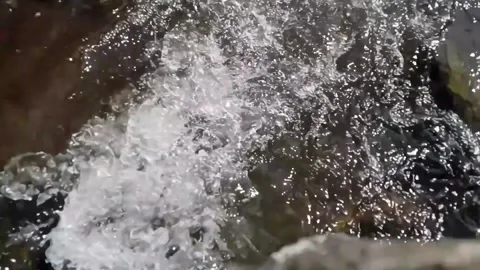 Clean storm water running rapidly Stock Footage 335944830
