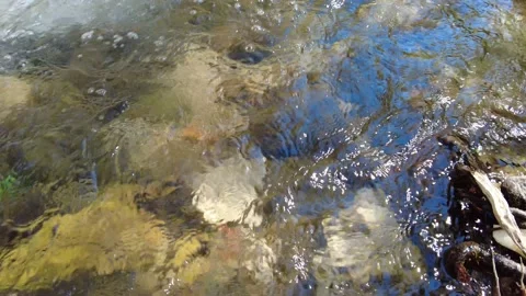 Clean stream and the stones in it Stockbeeldmateriaal 162213261