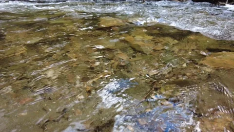 Clean stream and the stones in it 4k Stock Footage 162215345