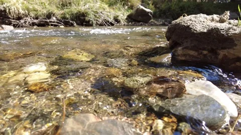 Clean stream and the stones in it Stock Footage 162233542