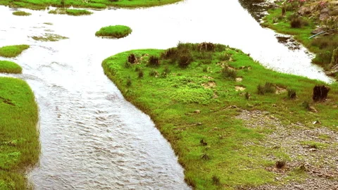 Clean stream coming from the mountains 動画素材 296742664