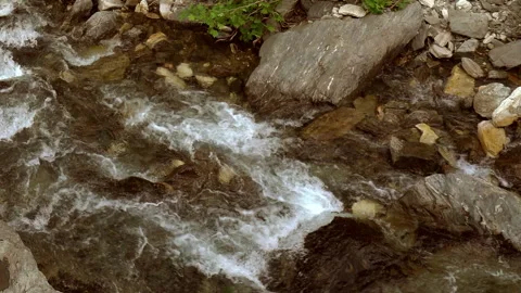 Clean stream coming from the mountains 動画素材 296744051