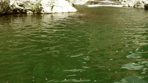 Clean stream coming from the mountains Stock Footage 296744392