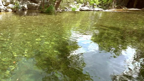 Clean stream coming from the mountains 動画素材 296744595