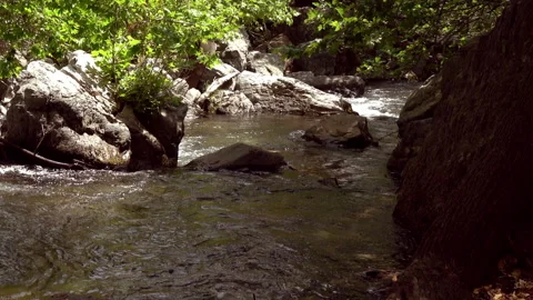 Clean stream coming from the mountains 動画素材 296746300