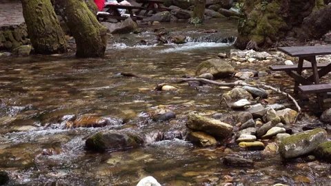 Clean stream coming from the mountains Vidéo 296751853