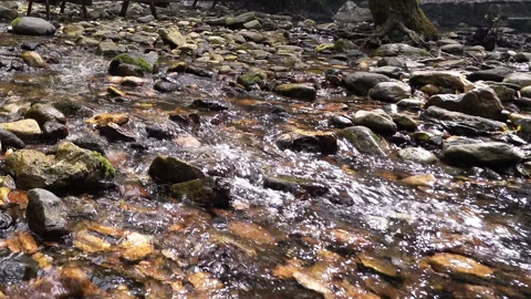 Clean stream coming from the mountains Video stock 296752220