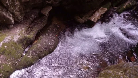 Clean stream coming from the mountains Video stock 296796778