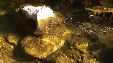 Clean stream coming from the mountains Stock-Footage 297634921