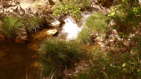 Clean stream coming from the mountains 動画素材 297635028