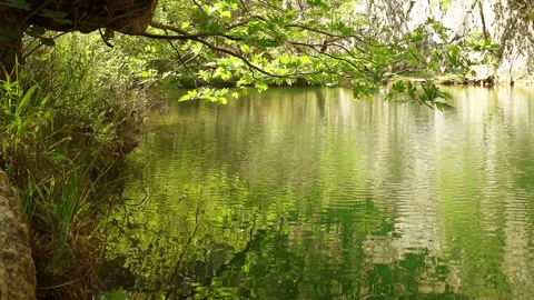 Clean stream coming from the mountains Stock Footage 297635749