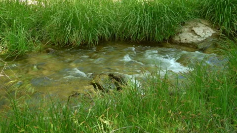 Clean stream coming from the mountains Stock Footage 297635910