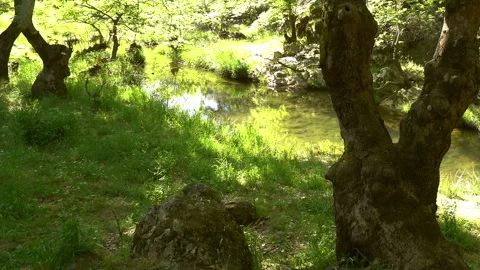 Clean stream coming from the mountains Stockbeeldmateriaal 297636104