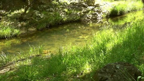 Clean stream coming from the mountains Stockbeeldmateriaal 297636649