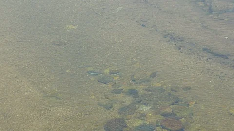 Clean stream flow with cobble and sand substrate Stock Footage 90960158