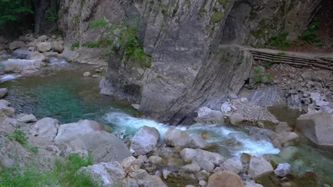 Clean stream flowing in untouched Dovžan (Dovzan) gorge in Slovenia Stock Footage 226806730