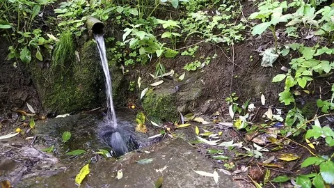 Clean stream flowing from the wellspring of on the rock. Stock-Footage 72619143