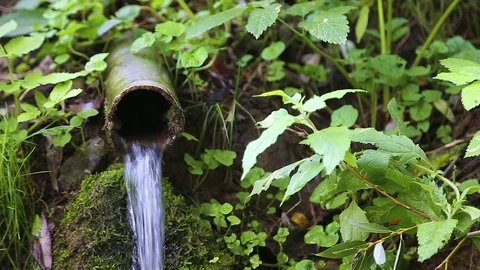 Clean stream flowing from the wellspring of on the rock Stock Footage 76088240
