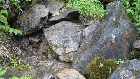 Clean stream in the forest Video stock 107032059