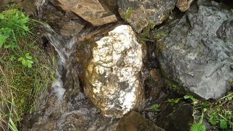 Clean stream in the forest Video stock 107032065