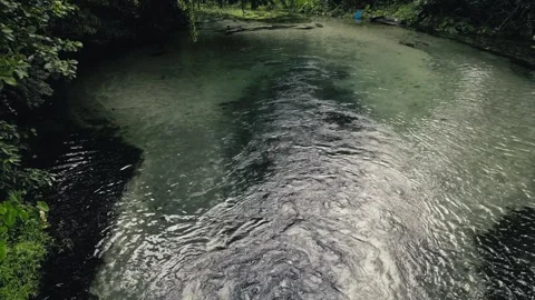 Clean stream of water in the forest Stock Footage 326918607