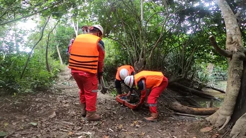 Clean up surveyor work Stock Footage 219906591
