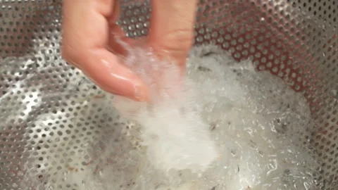 Clean Swiftlet Bird Nest Strands Revealed In Stainless Steel Colander 動画素材 339368076