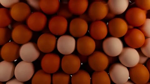 Clean Table Tennis Transition Alpha Stock Footage 324806020