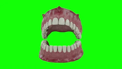 Clean Teeth Zoom Close Up 3D Animation on Green Screen With Alpha Matte Stock Footage 138902481