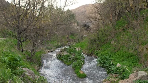 Clean Thermal Waterfall, Arpa River in Jermuk, Armenia 17 Vidéo 90093802