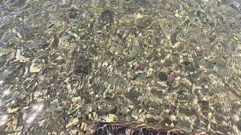 Clean transparent fresh water in a small river with a stone bottom made of Stock Footage 287949835