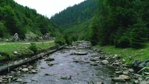 Clean transparent river in mountain with green Stock Footage 314897686